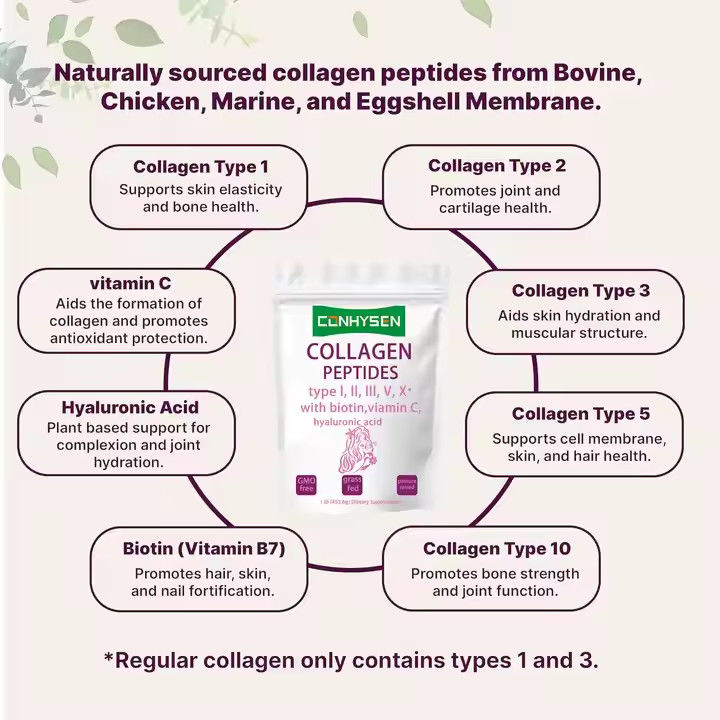 Ekler OEM Kolagen Peptidleri Deri Saç Eklem Sağlığı Yaşlanmayı Destekler