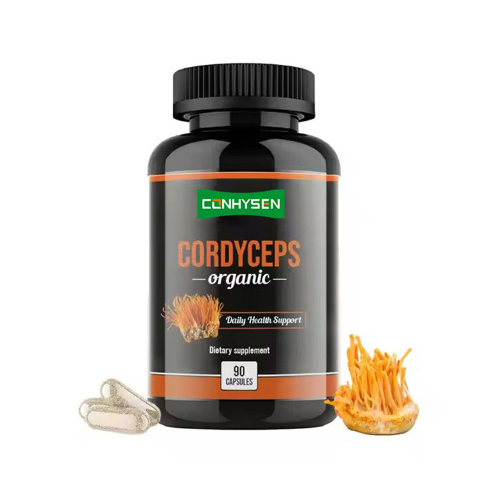 OEM ODM Organik Cordyceps Kapsülleri Beyin Fonksiyonunu Artırır Bitkisel Takviye Kapsülleri