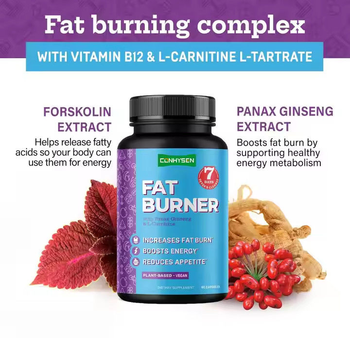 OEM Logo B12 Vitamini L-Karnitin L-Tartratlı Yağ Yakıcı Kapsülleri İştahı Azaltır