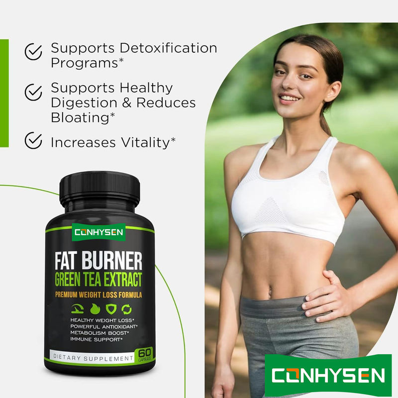Özel Etiket Premium Yeşil Çay Ekstraktı EGCG'li Yağ Yakıcı Takviye- Doğal Sağlıklı Kilo Verme Diyet Kapsülleri
