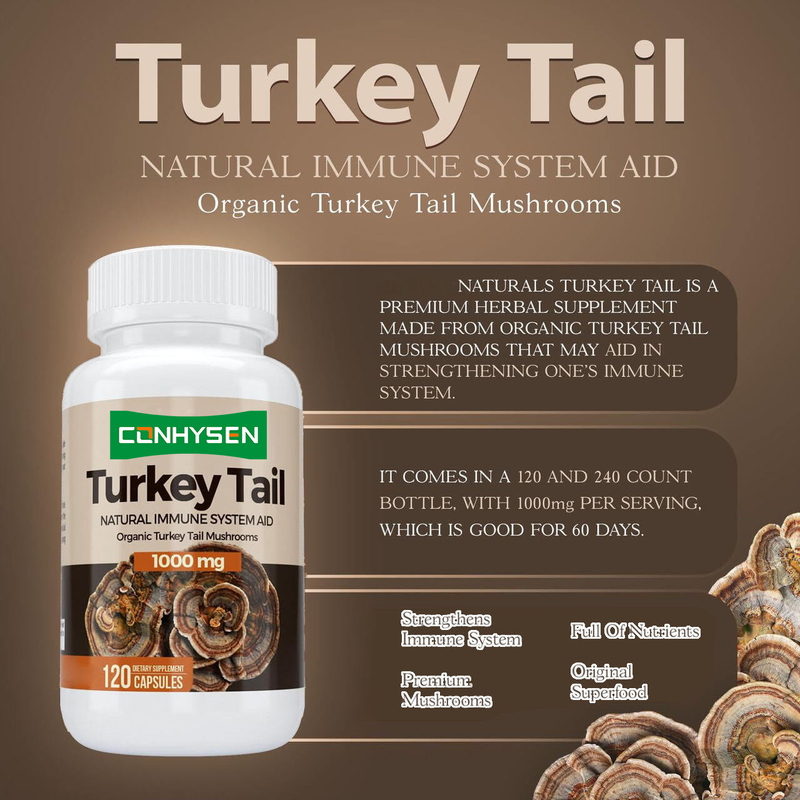 Premium Özel Türkiye Kuyruğu Kapsülleri Beyin Sağlığını ve Hafızayı Güçlendirir Doğal Bağışıklık Sistemi Desteği