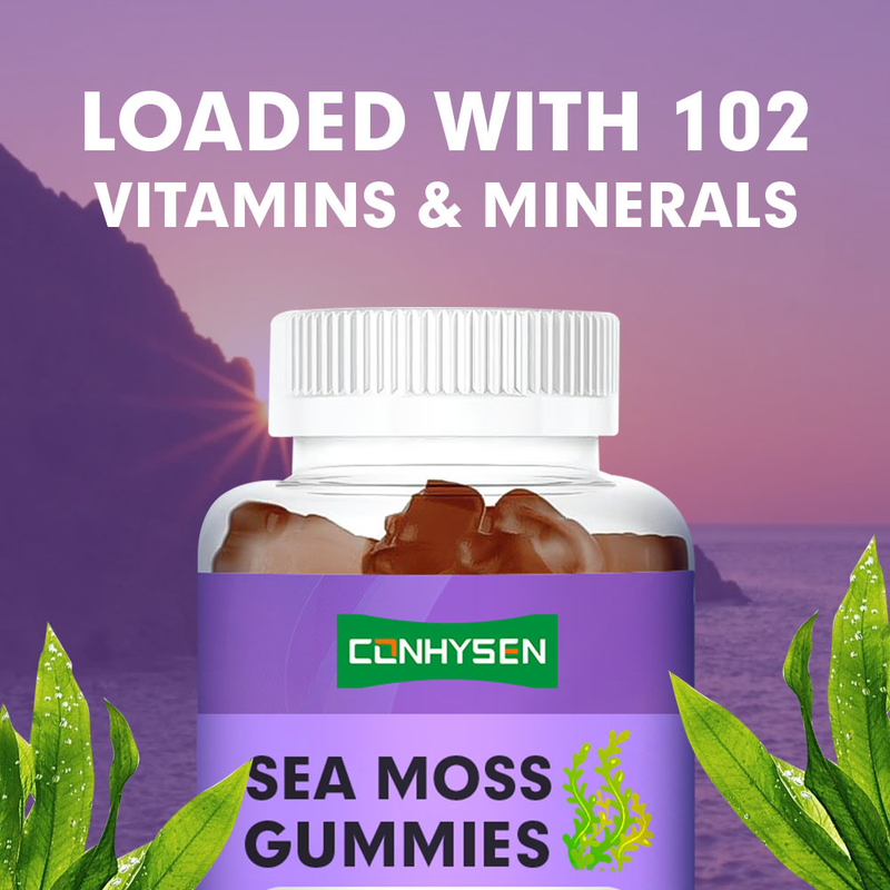 Organik İrlanda Denizi Moss Gummies Fabrikası Bağışıklık Desteği için Doğrudan Özel