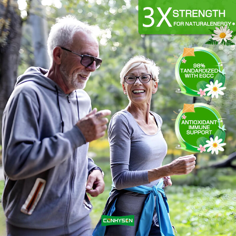 Özel Etiket Yeşil Çay Kapsülleri Zengin EGCG Takviyesi Antioksidan Bağışıklık Desteği Kilo Verme İndirim Yağ Yakıcı Hap