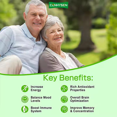 Ashwagandha Ginkgo Biloba Sakızları Genel Beyin Optimizasyonunu Destekler Bitkisel Ek